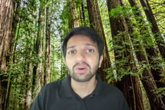 The Forest