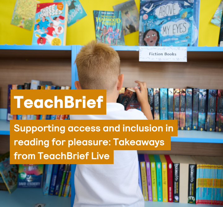 Small image - Supporting access and inclusion - TeachBrief