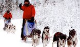 Arctic Challenge