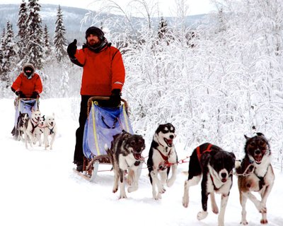 Arctic Challenge