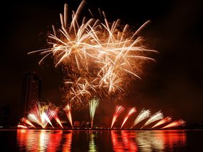 Fireworks on a dark sky