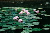 MatsuoBasho