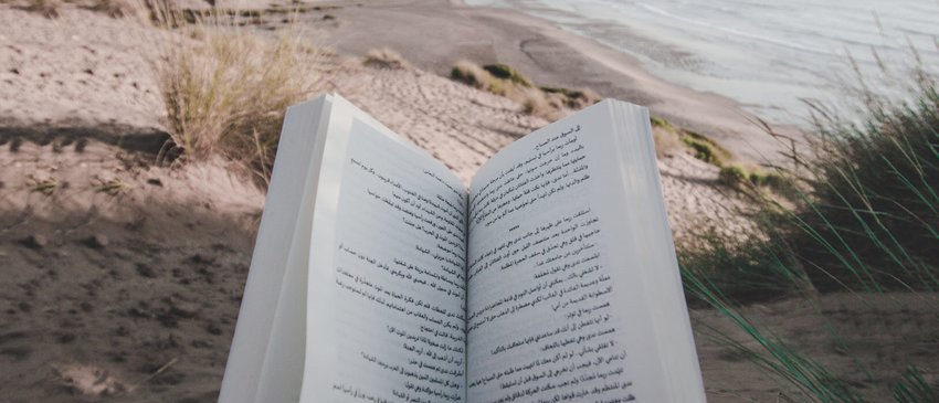 reading-925589_1280